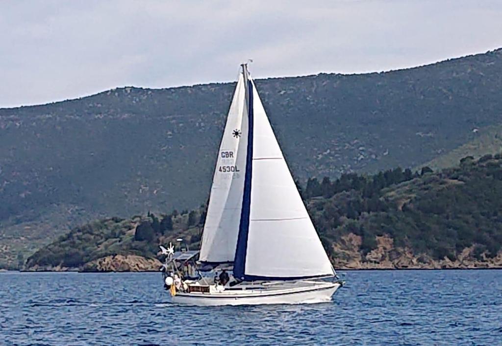 This image has an empty alt attribute; its file name is img_1617.jpeg